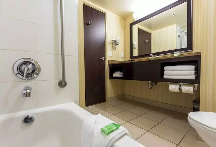 اتاق استاندارد, Holiday Inn Hotel And Suites Kamloops, An Ihg