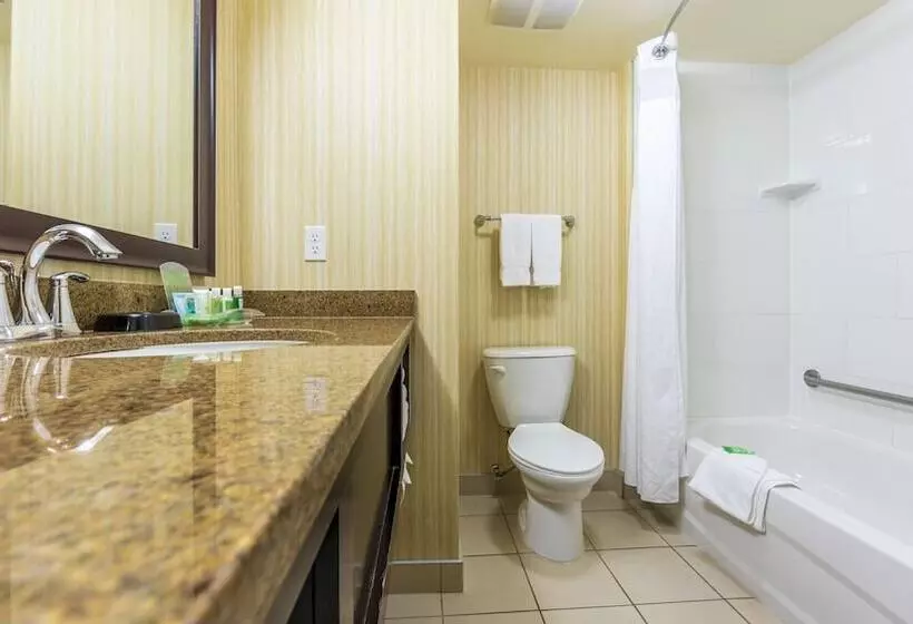 اتاق استاندارد, Holiday Inn Hotel And Suites Kamloops, An Ihg