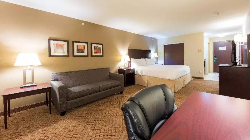 اتاق استاندارد با تخت بزرگ, Holiday Inn Hotel And Suites Kamloops, An Ihg