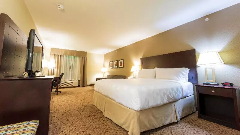 اتاق استاندارد با تخت بزرگ, Holiday Inn Hotel And Suites Kamloops, An Ihg