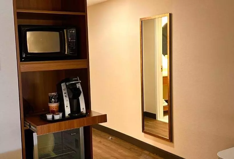 身障者適用キングサイズベッドルーム, Newmarket Hotel And Suites