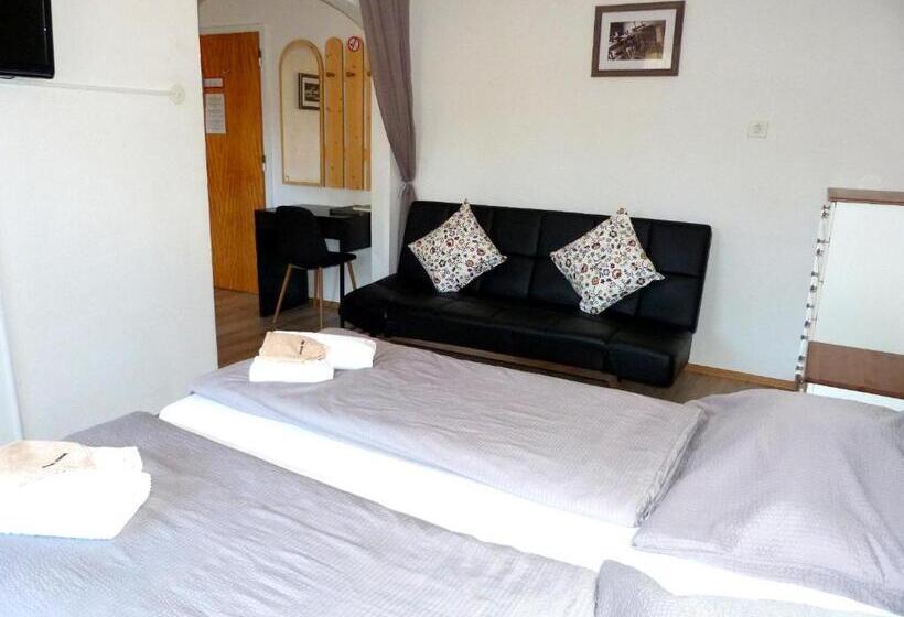 اتاق راحتی سه تخته, Pension Kitty