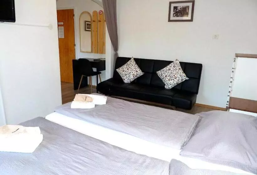 Comfort Kolmen Hengen Huone, Pension Kitty