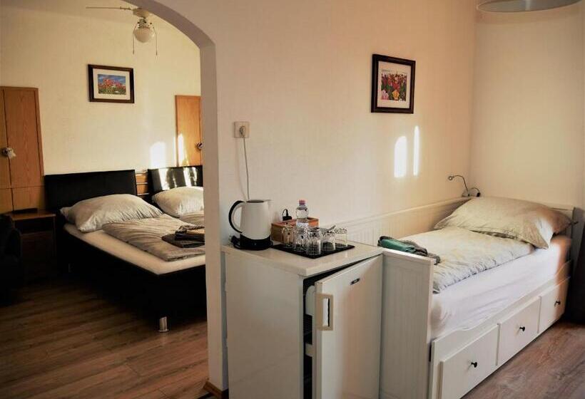 اتاق راحتی سه تخته, Pension Kitty