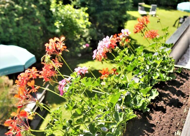 اتاق استاندارد با بالکن و چشمانداز باغ, Pension Kitty