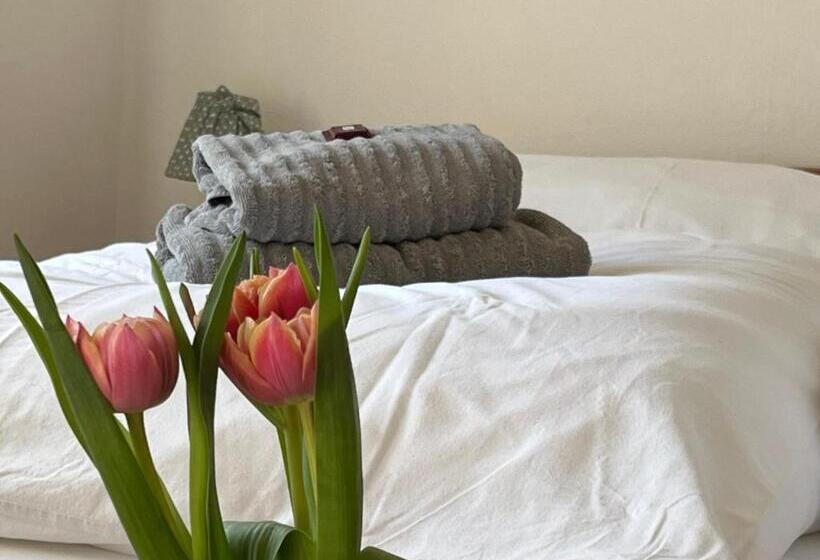 Comfort room with garden view, Pension Kitty