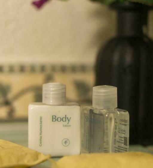 חדר לארבעה סטנדרטי עם נוף לגינה, & Hot Springs Sueño Dorado