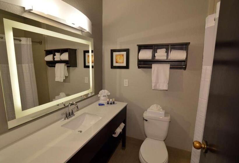 스탠다드 룸 킹사이즈 침대, Best Western Plus Liberal Hotel & Suites