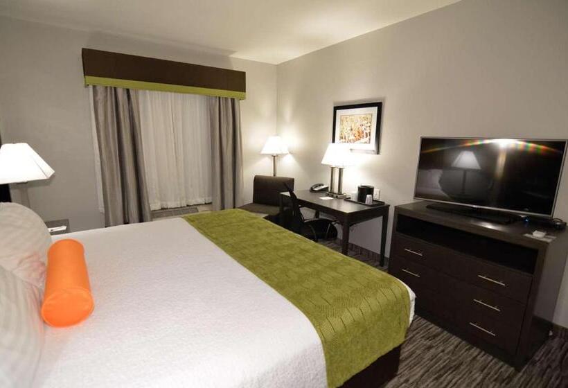 스탠다드 룸 킹사이즈 침대, Best Western Plus Liberal Hotel & Suites