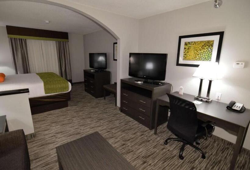 스위트 킹사이즈 침대, Best Western Plus Liberal Hotel & Suites