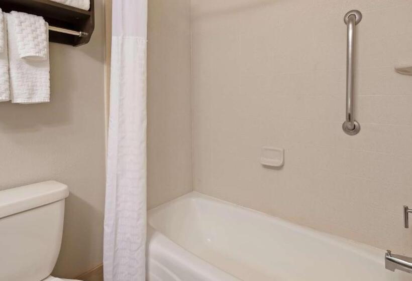 غرفة قياسية لذوى الاحتياجات الخاصة, Best Western Plus Liberal Hotel & Suites