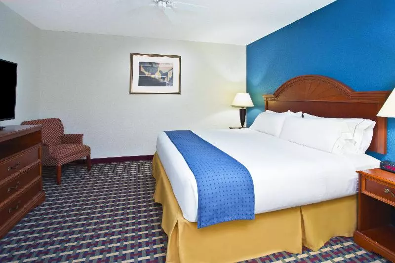 キングサイズベッドのスイートルーム, Holiday Inn Express Hotel & Suites Petoskey, An Ihg