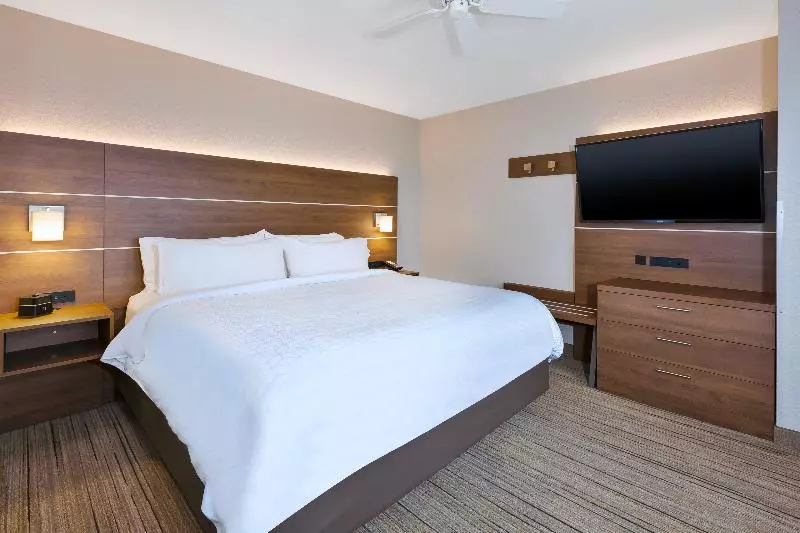 キングサイズベッドのスイートルーム, Holiday Inn Express Hotel & Suites Petoskey, An Ihg
