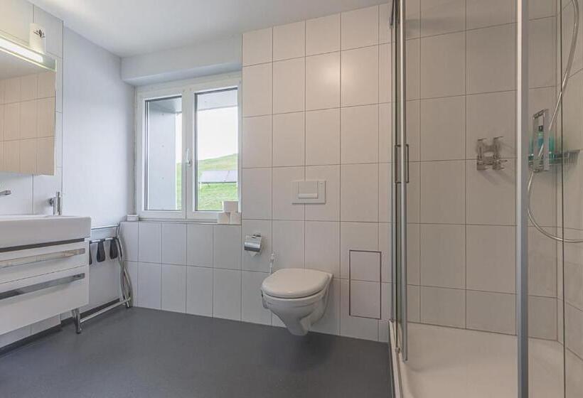 חדר סטנדרט, Berghaus Niederhorn