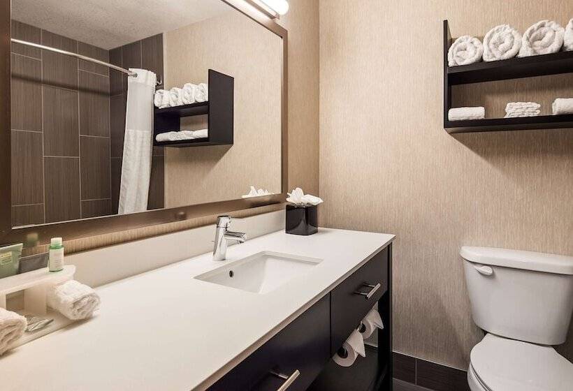 غرفه قياسيه سريرين مزدوجين, Best Western Greeley