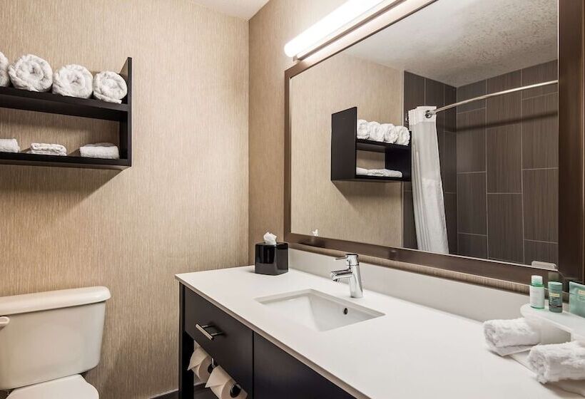 스탠다드 룸 더블 침대 2개, Best Western Greeley