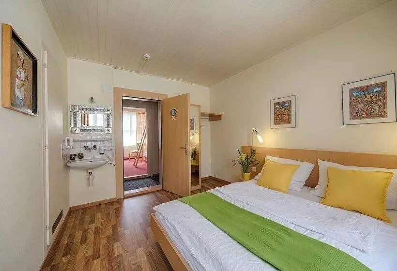 Standard Neljän Hengen Huone, Blume Interlaken