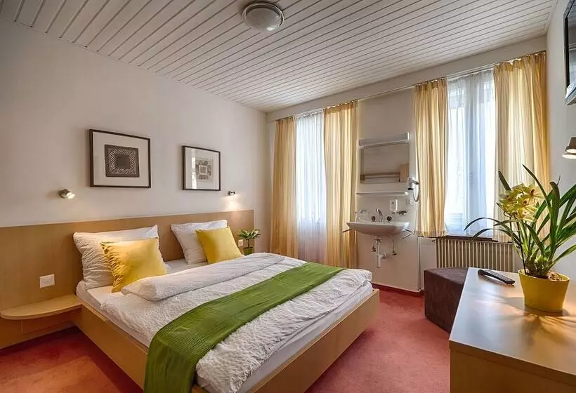Standard Neljän Hengen Huone, Blume Interlaken