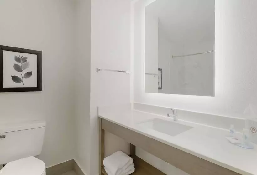 スイート, Comfort Inn & Suites Rustoneast