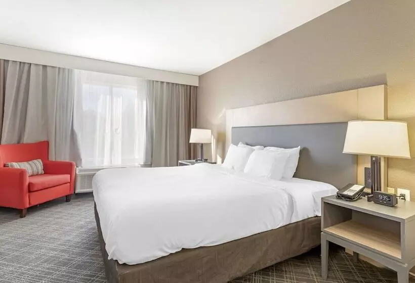 スイート, Comfort Inn & Suites Rustoneast