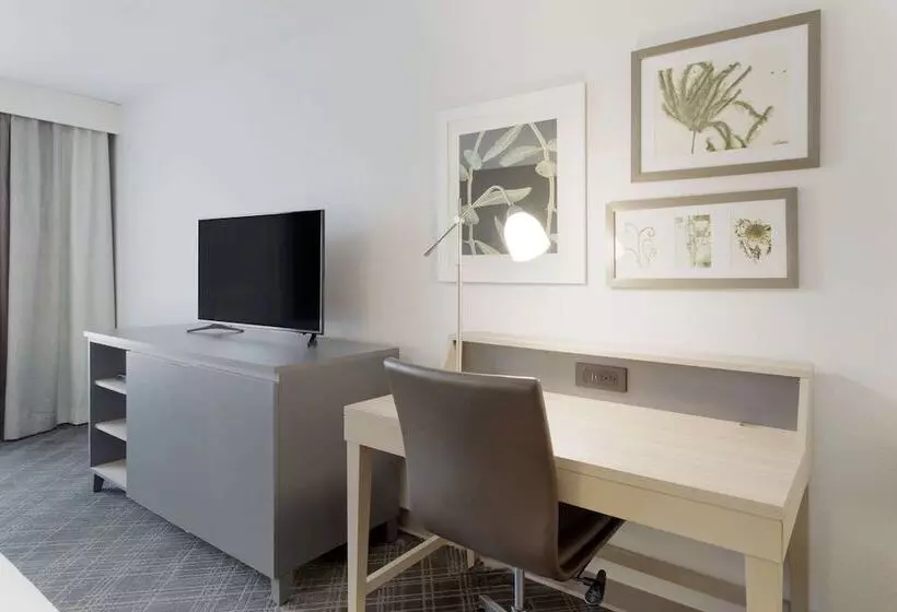 スイート, Comfort Inn & Suites Rustoneast