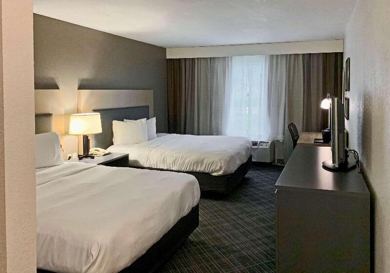 带特大床的标准间, Comfort Inn & Suites Rustoneast
