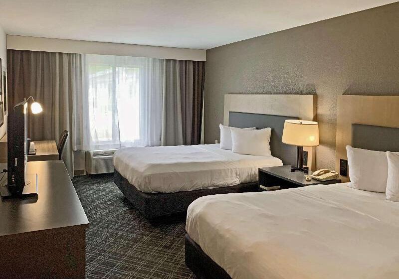 Номер Стандартный Кровать Куин, Comfort Inn & Suites Rustoneast