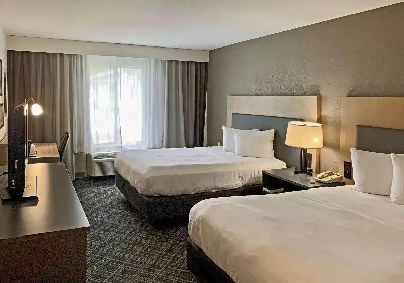 クイーンサイズベッドのスタンダードルーム, Comfort Inn & Suites Rustoneast
