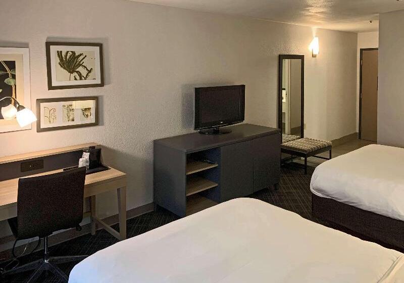 带特大床的标准间, Comfort Inn & Suites Rustoneast