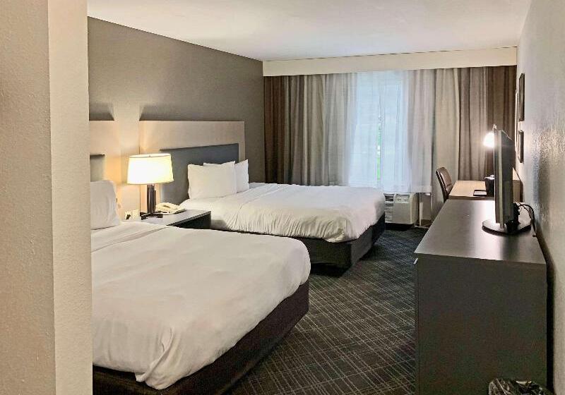 带特大床的标准间, Comfort Inn & Suites Rustoneast