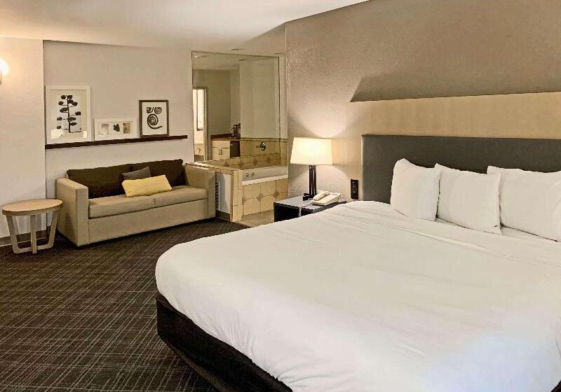 带大床的套房, Comfort Inn & Suites Rustoneast