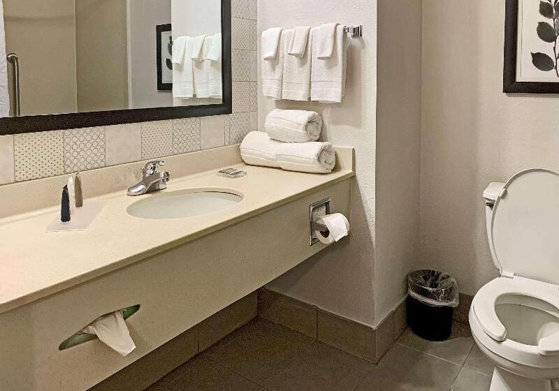 Стандартный Номер Кровать Кинг, Comfort Inn & Suites Rustoneast