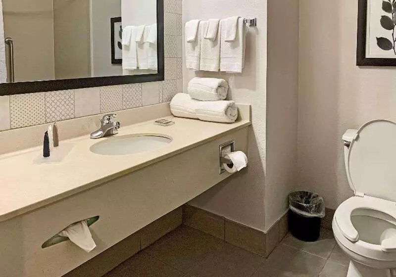 キングサイズベッドのスタンダードルーム, Comfort Inn & Suites Rustoneast