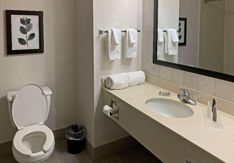 带大床的标准间, Comfort Inn & Suites Rustoneast