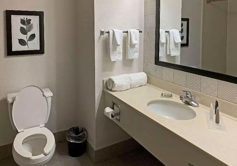 キングサイズベッドのスタンダードルーム, Comfort Inn & Suites Rustoneast