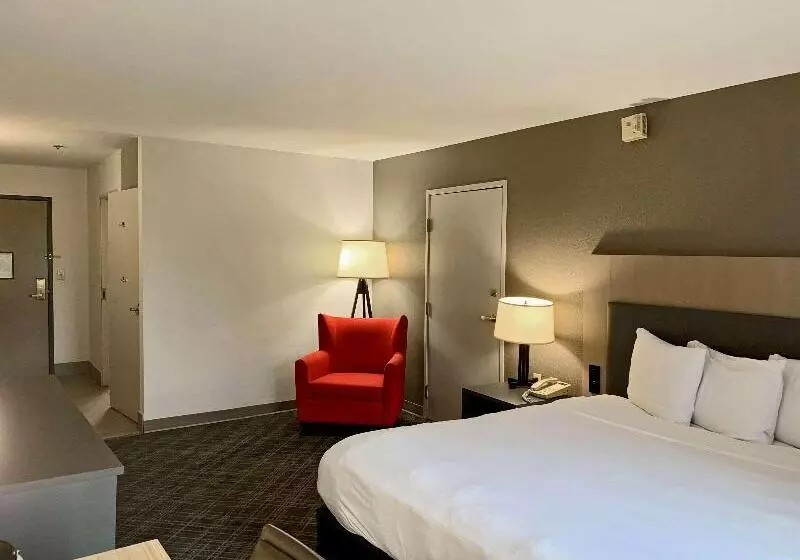 キングサイズベッドのスタンダードルーム, Comfort Inn & Suites Rustoneast