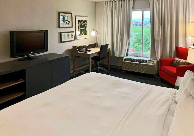 带大床的标准间, Comfort Inn & Suites Rustoneast