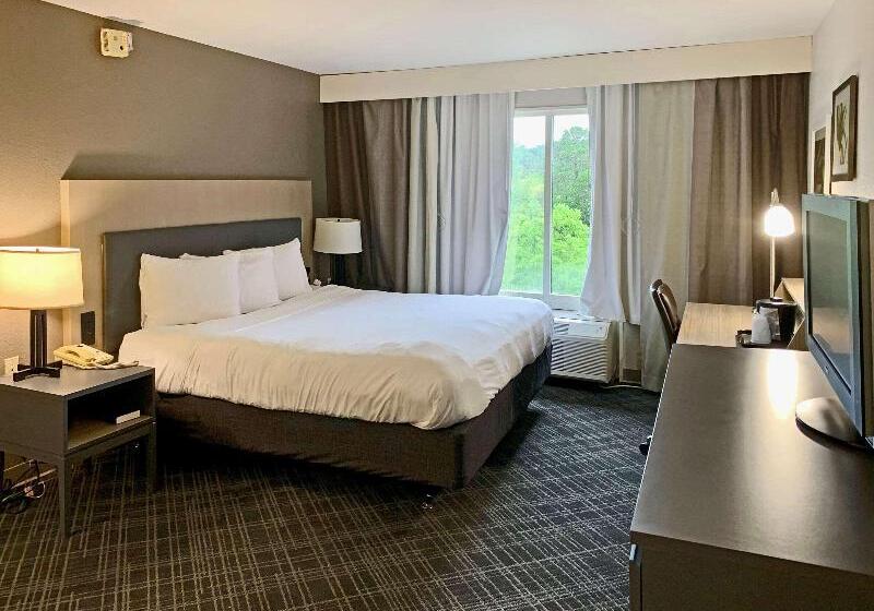 Стандартный Номер Кровать Кинг, Comfort Inn & Suites Rustoneast
