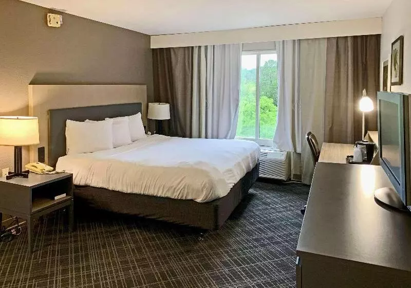 キングサイズベッドのスタンダードルーム, Comfort Inn & Suites Rustoneast