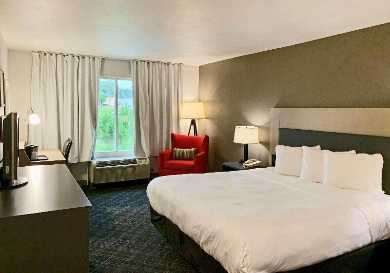 带大床的标准间, Comfort Inn & Suites Rustoneast