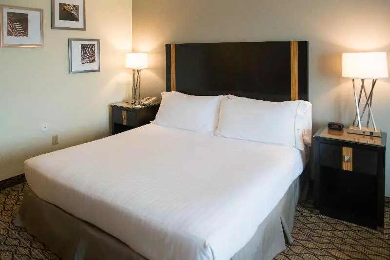 Standard-huone King-vuode, Holiday Inn Express Hotel & Suites Chanhassen By Ihg