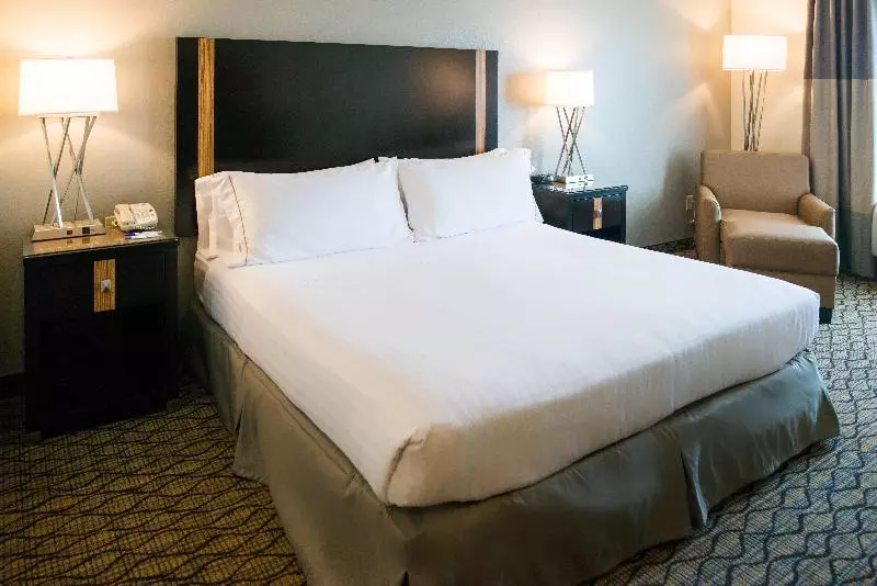 Executive-huone King-vuode, Holiday Inn Express Hotel & Suites Chanhassen By Ihg