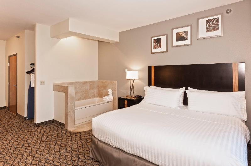 غرفة قياسية سرير كينج, Holiday Inn Express Hotel & Suites Chanhassen By Ihg