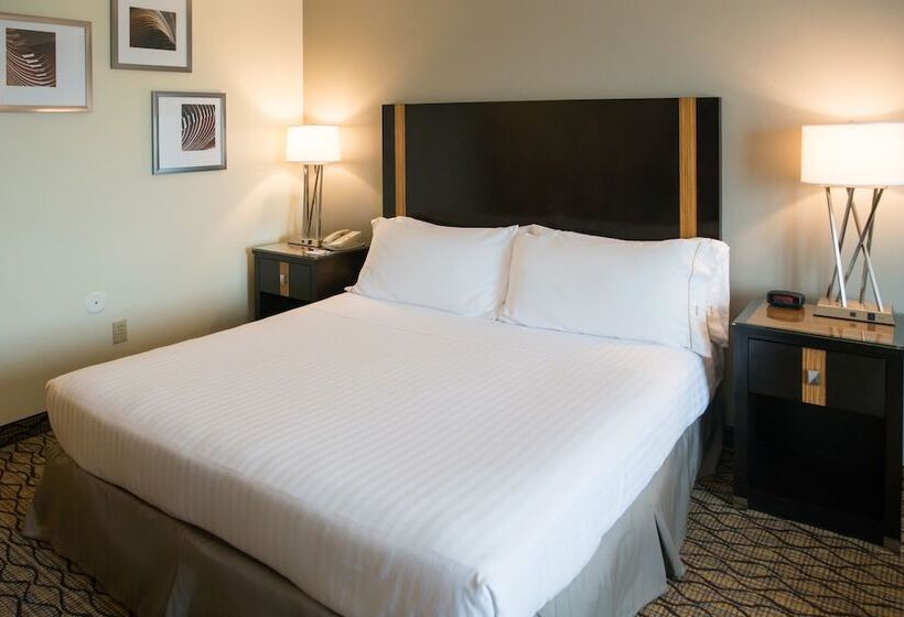 Номер Стандарт, Holiday Inn Express Hotel & Suites Chanhassen By Ihg