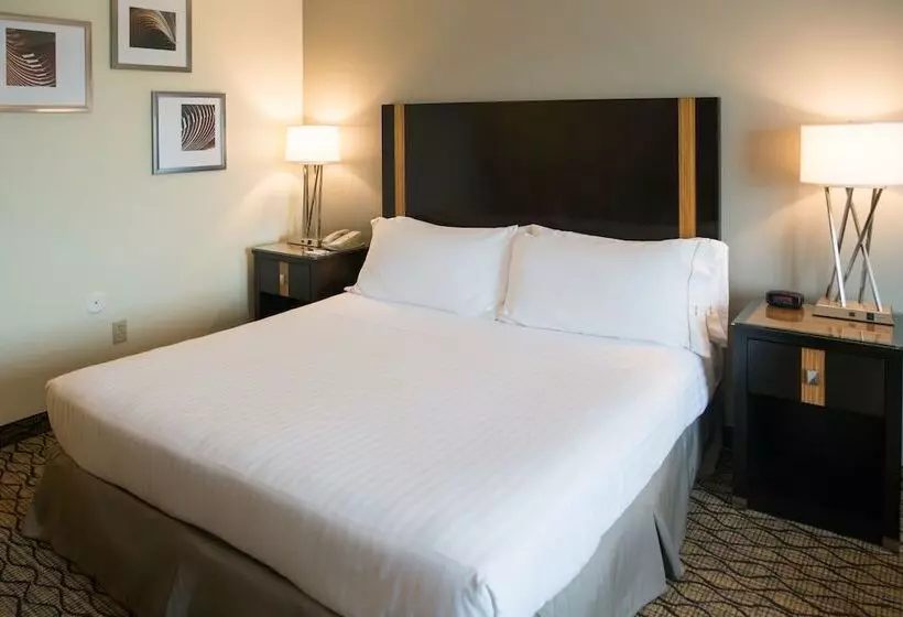Standard-huone, Holiday Inn Express Hotel & Suites Chanhassen By Ihg