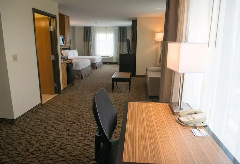 Executive-sviitti, Holiday Inn Express Hotel & Suites Chanhassen By Ihg