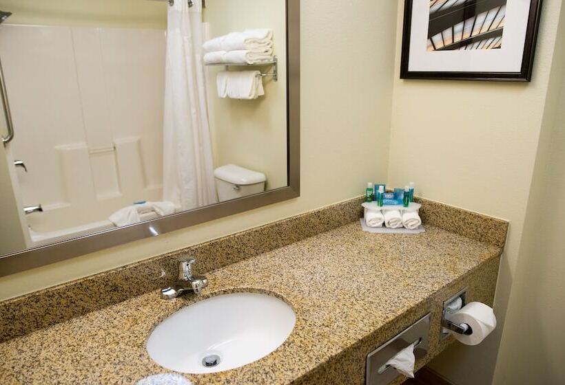 Люкс Адаптированный для Инвалидов, Holiday Inn Express Hotel & Suites Chanhassen By Ihg