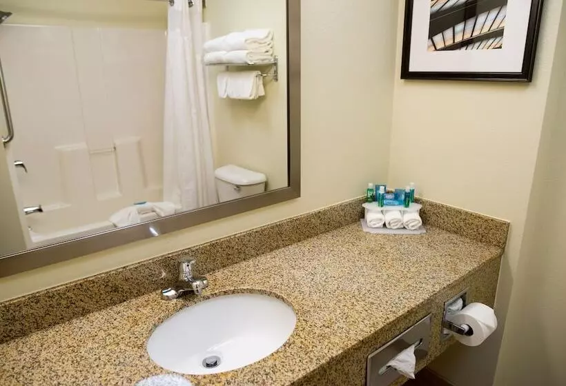 Sviitti Liikuntarajoitteisille, Holiday Inn Express Hotel & Suites Chanhassen By Ihg