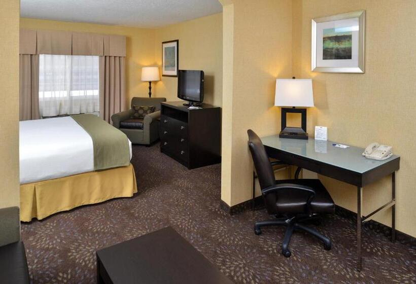 غرفة إدارية سرير كينج, Holiday Inn Express Hotel & Suites Charlotte, An Ihg