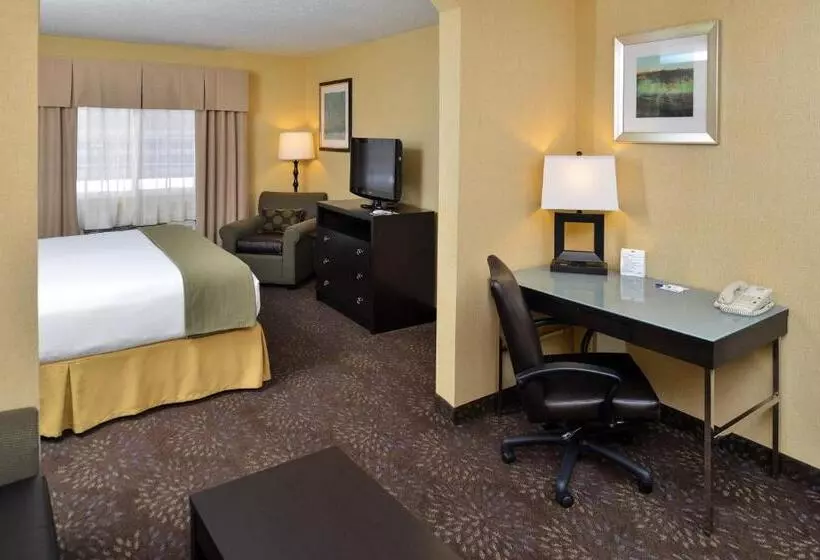 キングサイズベッドのエクゼクティブルーム, Holiday Inn Express Hotel & Suites Charlotte, An Ihg